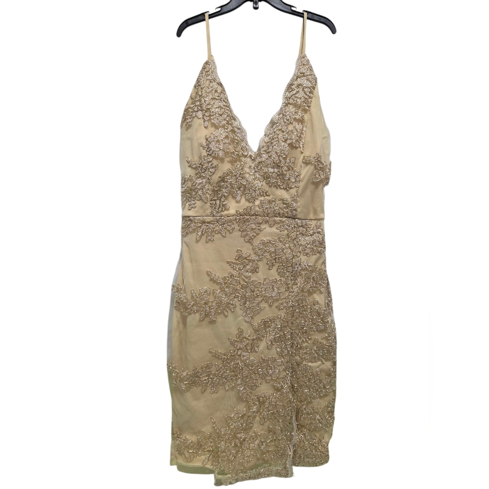 Unforgettable Nights Lace Mini Dress- WINSOR